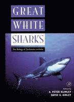 Great White Sharks av Klimley Ainley, A Peter Klimley, David G Ainley, A Peter Klimley, David G Ainley