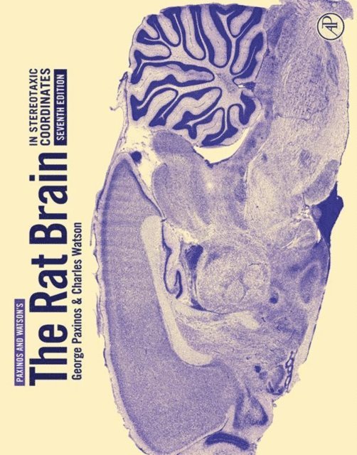 Charles Watson, George Paxinos - Rat Brain in Stereotaxic Coordinates, E-bok