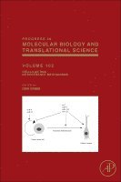 Cellular RNA Interference Mechanisms
