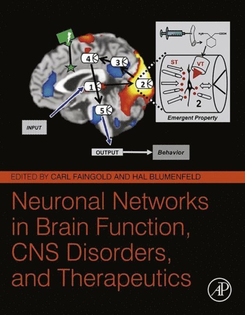 Hal Blumenfeld, Carl Faingold - Neuronal Networks in Brain Function, CNS Disorders, and Therapeutics, E-bok