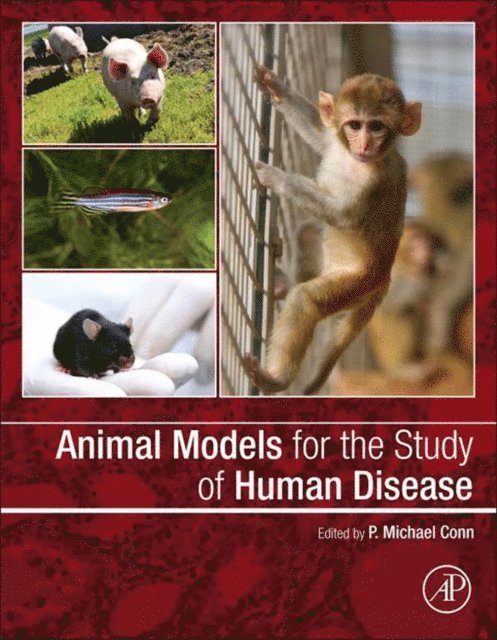P. Michael Conn - Animal Models for the Study of Human Disease, E-bok