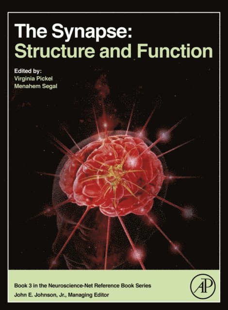 Menahem Segal, Virginia M. Pickel - Synapse, E-bok