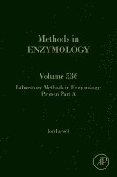 Laboratory Methods in Enzymology: Protein Part A, Inbunden