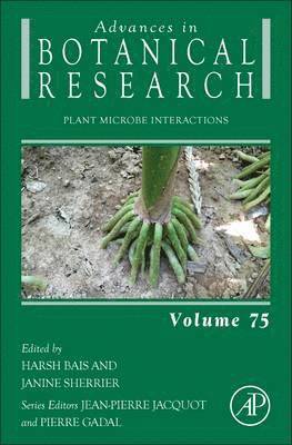 Harsh Bais, Janine Sherrier - Plant Microbe Interactions, Inbunden