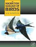 Migration Ecology of Birds