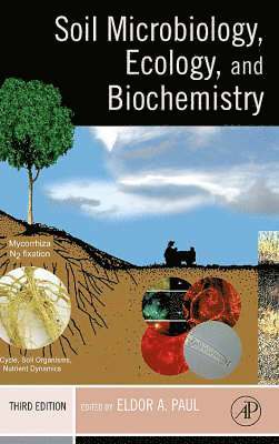 Soil Microbiology, Ecology and Biochemistry, Inbunden