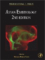 Avian Embryology