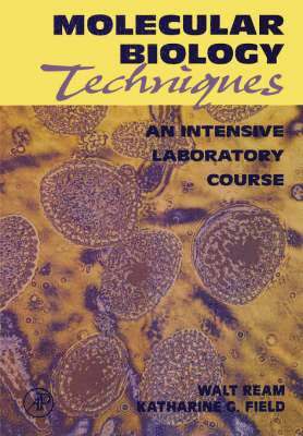 Molecular Biology Techniques