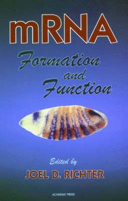 mRNA Formation and Function