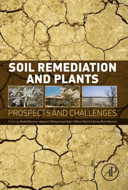 Ahmet Ruhi Mermut, Munir Ozturk, Muhammad Sabir, Khalid Hakeem - Soil Remediation and Plants, E-bok