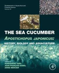 Sea Cucumber Apostichopus japonicus