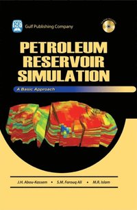 Petroleum Reservoir Simulations