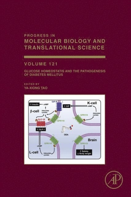 Glucose Homeostatis and the Pathogenesis of Diabetes Mellitus, E-bok
