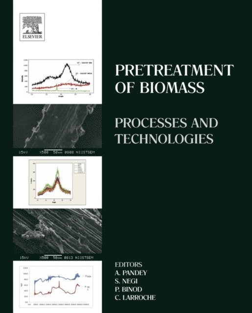 Christian Larroche, Parameswaran Binod, Sangeeta Negi, Ashok Pandey - Pretreatment of Biomass, E-bok