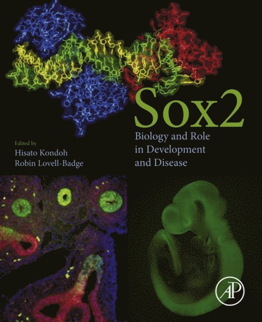 Robin Lovell-Badge, Hisato Kondoh - Sox2, E-bok