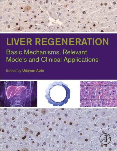 Udayan M. Apte - Liver Regeneration, E-bok