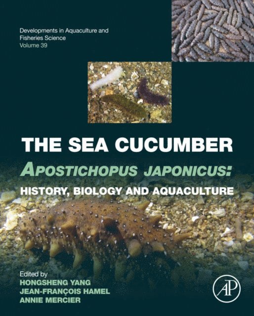 Annie Mercier, Jean-Francois Hamel, Hongsheng Yang - Sea Cucumber Apostichopus japonicus, E-bok