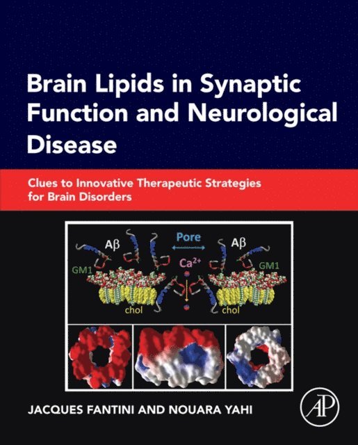 Nouara Yahi, Jacques Fantini - Brain Lipids in Synaptic Function and Neurological Disease, E-bok. Tillgänglighet: Lägg i varukorg