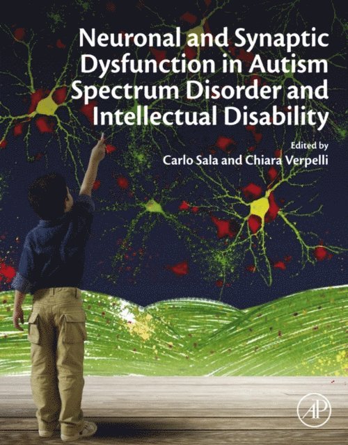 Chiara Verpelli, Carlo Sala - Neuronal and Synaptic Dysfunction in Autism Spectrum Disorder and Intellectual Disability, E-bok