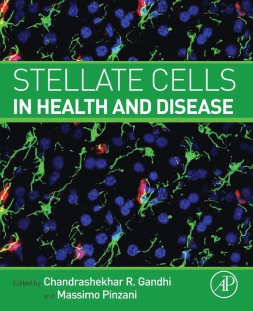 Massimo Pinzani, Chandrashekhar Gandhi - Stellate Cells in Health and Disease, E-bok