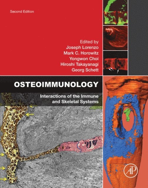 Georg Schett, Hiroshi Takayanagi, Yongwon Choi, Mark Horowitz, Joseph Lorenzo - Osteoimmunology, E-bok