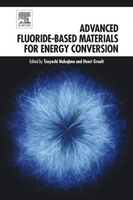 Henri Groult, Tsuyoshi Nakajima - Advanced Fluoride-Based Materials for Energy Conversion, E-bok