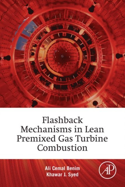 Khawar Jamil Syed, Ali Cemal Benim - Flashback Mechanisms in Lean Premixed Gas Turbine Combustion, E-bok
