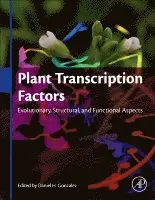 Plant Transcription Factors
