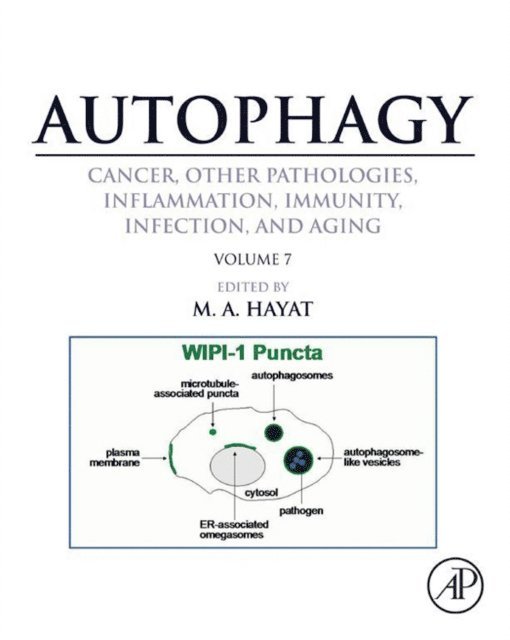 M. A. Hayat - Autophagy: Cancer, Other Pathologies, Inflammation, Immunity, Infection, and Aging, E-bok