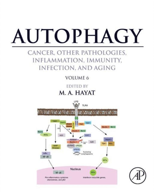 M. A. Hayat - Autophagy: Cancer, Other Pathologies, Inflammation, Immunity, Infection, and Aging, E-bok