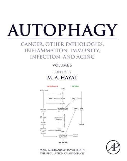 M. A. Hayat - Autophagy: Cancer, Other Pathologies, Inflammation, Immunity, Infection, and Aging, E-bok