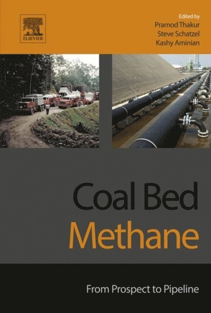 Kashy Aminian, Steven J. Schatzel, Pramod Thakur - Coal Bed Methane, E-bok. Tillgänglighet: Lägg i varukorg