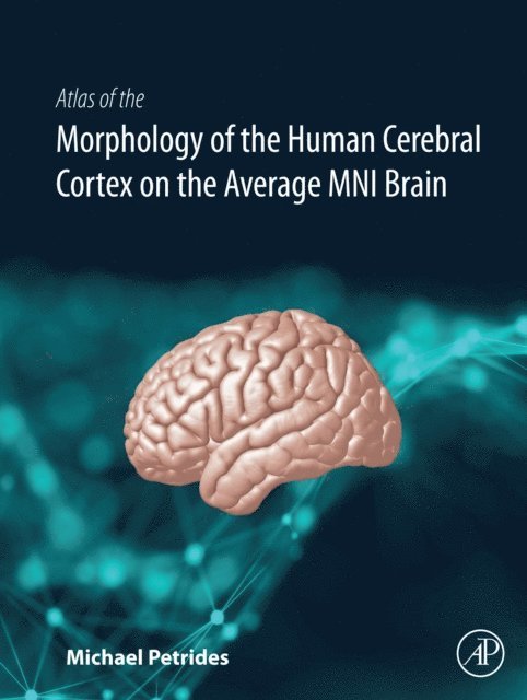 Michael Petrides - Atlas of the Morphology of the Human Cerebral Cortex on the Average MNI Brain, E-bok