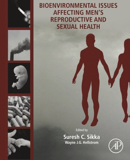 Wayne J.G. Hellstrom, Suresh C Sikka - Bioenvironmental Issues Affecting Men's Reproductive and Sexual Health, E-bok. Tillgänglighet: Lägg i varukorg