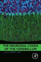 Detlef Heck - The Neuronal Codes of the Cerebellum, Häftad. Tillgänglighet: Lägg i varukorg