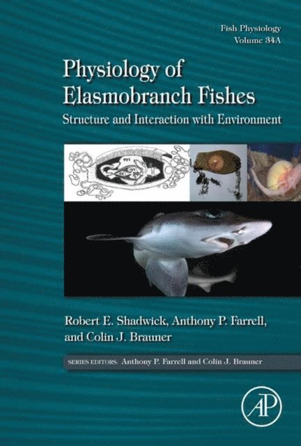 Colin Brauner, Anthony Peter Farrell, Robert E. Shadwick - Physiology of Elasmobranch Fishes: Structure and Interaction with Environment, E-bok