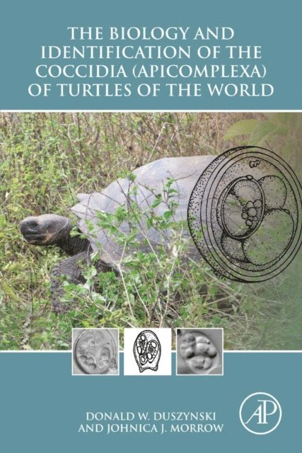 Johnica J. Morrow, Donald W. Duszynski - Biology and Identification of the Coccidia (Apicomplexa) of Turtles of the World, E-bok