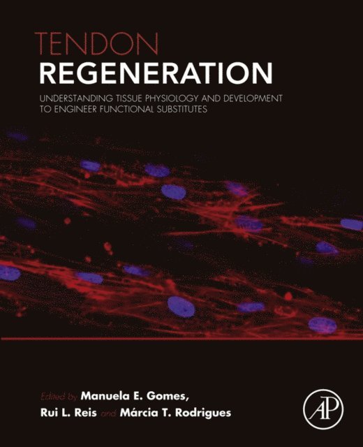 Marcia T. Rodrigues, Rui L. Reis, Manuela E. Gomes - Tendon Regeneration, E-bok