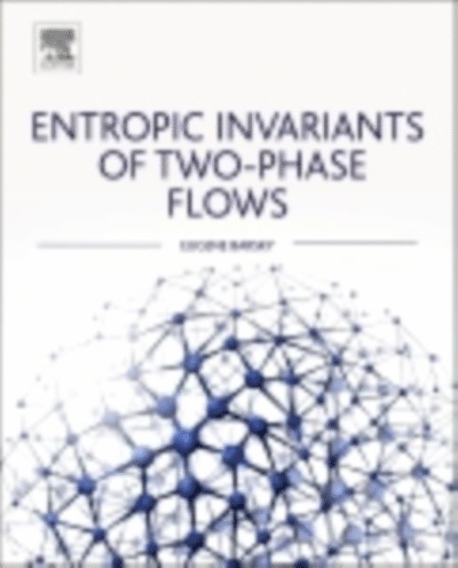 Eugene Barsky - Entropic Invariants of Two-Phase Flows, E-bok