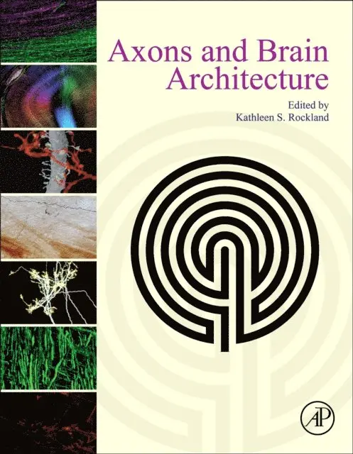 Kathleen Rockland - Axons and Brain Architecture, E-bok. Tillgänglighet: Lägg i varukorg