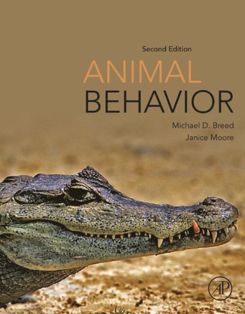 Janice Moore, Michael D. Breed - Animal Behavior, E-bok
