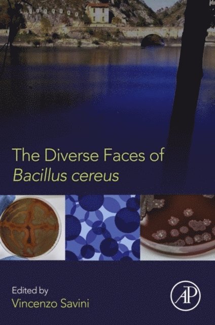 Vincenzo Savini - Diverse Faces of Bacillus Cereus, E-bok. Tillgänglighet: Lägg i varukorg