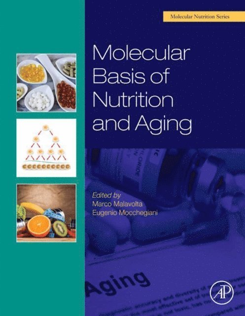 Eugenio Mocchegiani, Marco Malavolta - Molecular Basis of Nutrition and Aging, E-bok