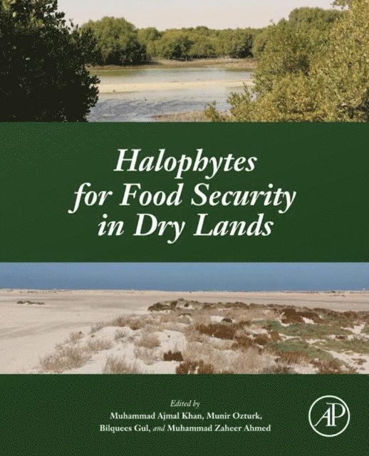 Muhammad Zaheer Ahmed, Bilquees Gul, Munir Ozturk, Muhammad Ajmal Khan - Halophytes for Food Security in Dry Lands, E-bok
