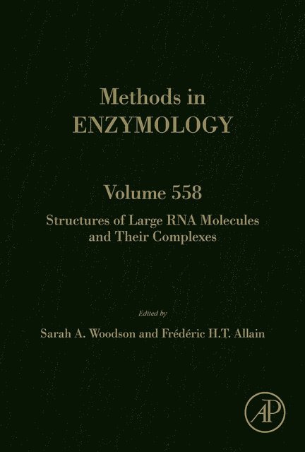 Structures of Large RNA Molecules and Their Complexes