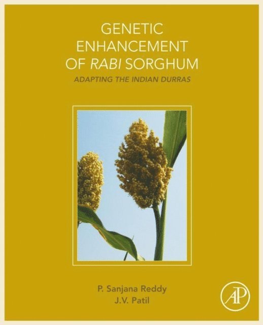 J.V. Patil, Sanjana Reddy - Genetic Enhancement of Rabi Sorghum, E-bok