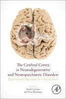 David F. Cechetto, Nina Weishaupt - The Cerebral Cortex in Neurodegenerative and Neuropsychiatric Disorders, Häftad