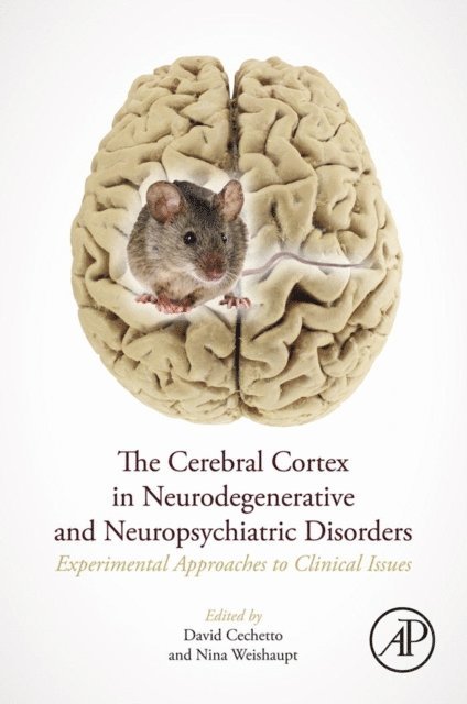 Cerebral Cortex in Neurodegenerative and Neuropsychiatric Disorders