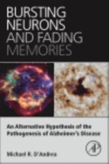 Michael R. D'Andrea - Bursting Neurons and Fading Memories, E-bok