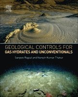 Geological Controls for Gas Hydrates and Unconventionals